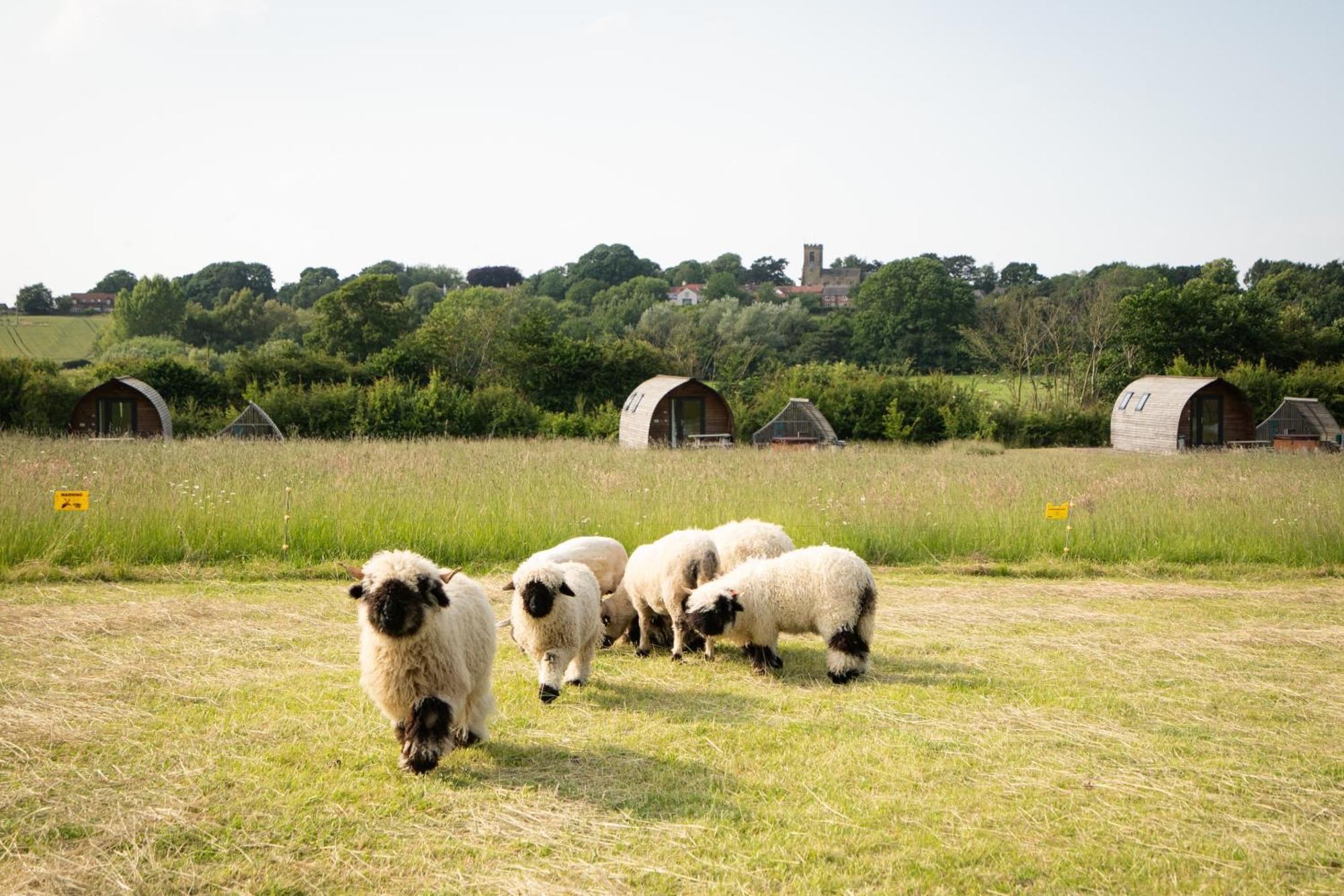 Sedgewell Barn By Wigwam Holidays Northallerton Exterior photo